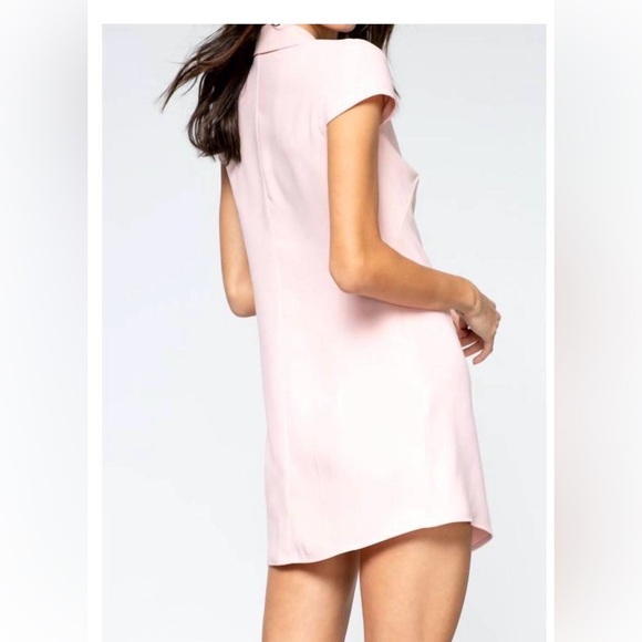 Amanda Uprichard NEW Walker Dress in Dusty Rose Light Pink Preppy Mini Dress - Picture 4 of 13